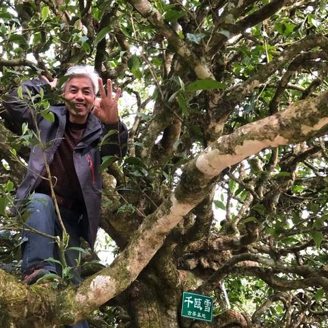 东莞市严选电子怎么样