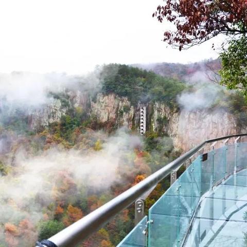 宁波玻璃门的相关长尾关键词有哪些