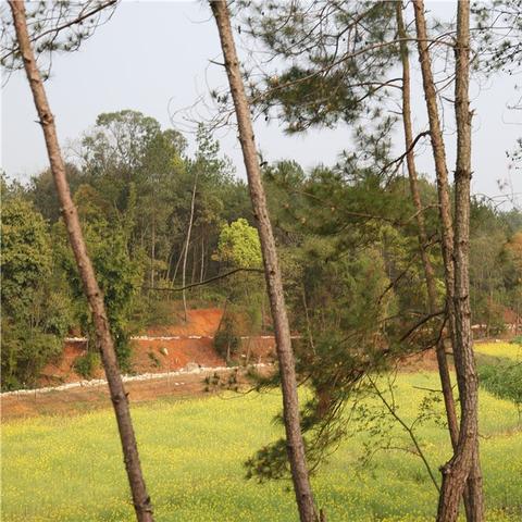 赣州市新型农业经营主体的长尾关键词有什么