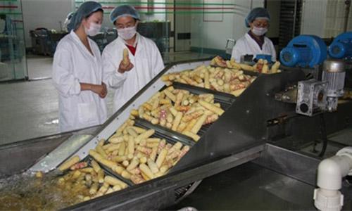 农村在走向富裕，有“2件事”受欢迎，马云早已出手赚钱？