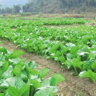 信宜14日天气预报的长尾关键词有哪些