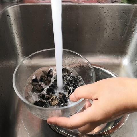 上海可以养哪些冷水鱼