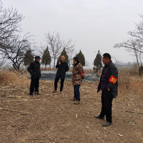 石家庄市净土方案的长尾关键词有哪些