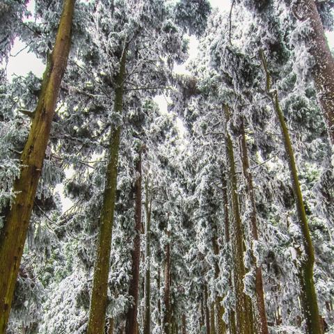 河南张家界天气的相关长尾关键词有哪些