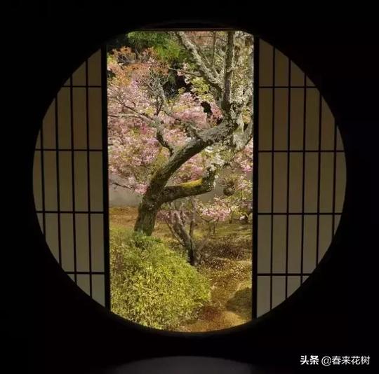 谈园说圆，让我们认识花园的历史