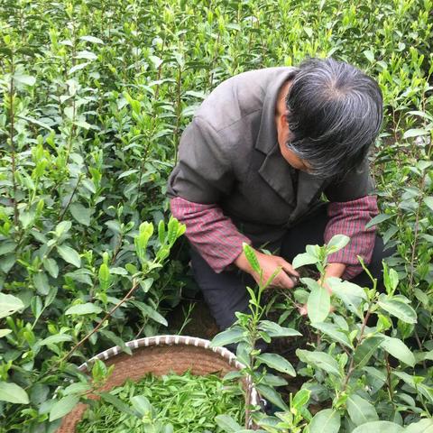 温州市乌牛哪里好玩