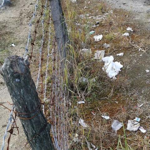 桂林字牌网络视频下载相关长尾关键词有哪些