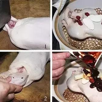 足球运动员颈部断裂的长尾关键词有什么