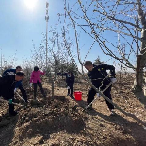 苏家屯站就是沈阳南站吗？