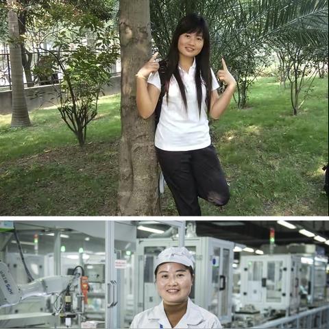 深圳市龙岗区有几个镇，分别是那些镇？
