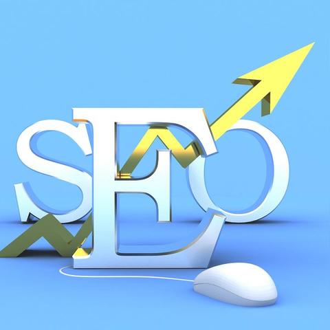 seo蜘蛛精怎么用