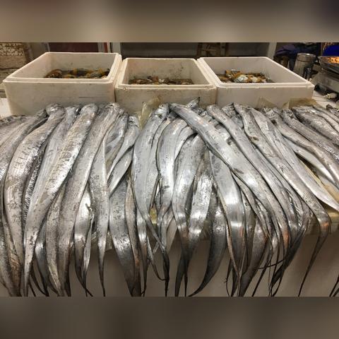 宁波市菜场买菜怎么样