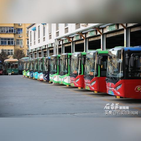 石家庄市核酸哪里出结果