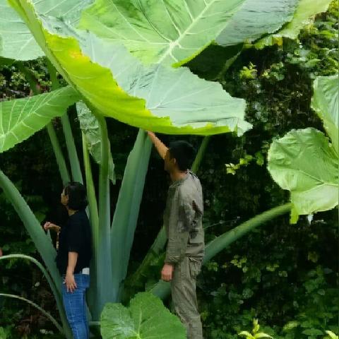 福建安然怎么样