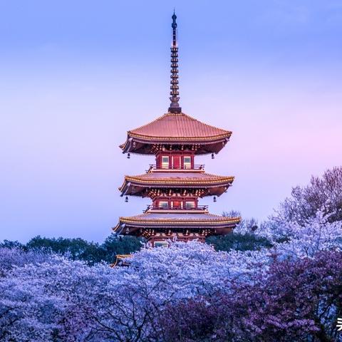 武汉东湖门票多少钱的相关长尾关键词有哪些