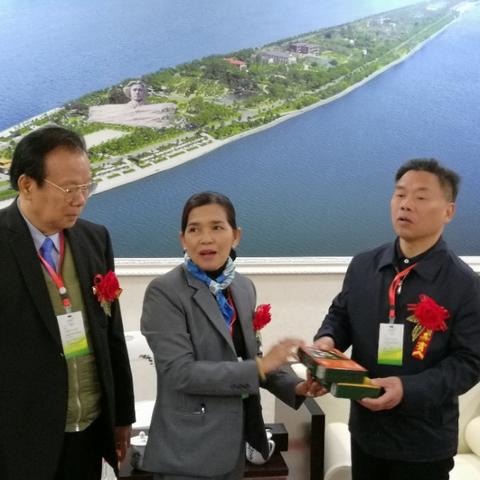 长沙建材市场这么多哪里建材最便宜？