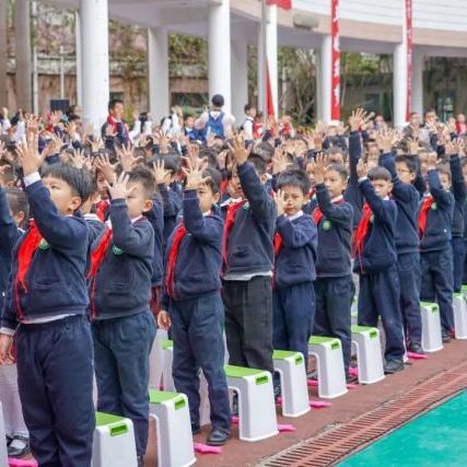 深圳最好的小学排名前20名？