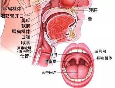 秋冬季如何预防呼吸道疾病