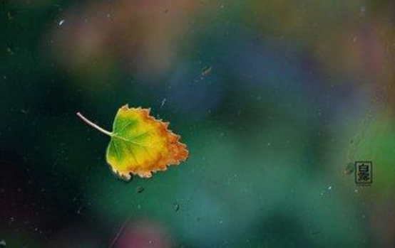白露节气的由来和风俗是什么