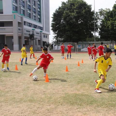 佛山市南海区大圃中学怎么样