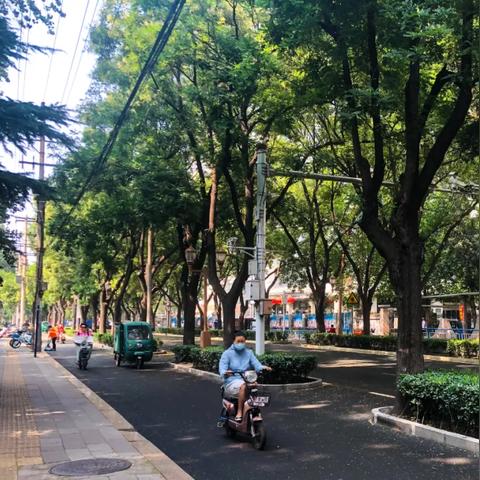 石家庄市青园街全称是什么