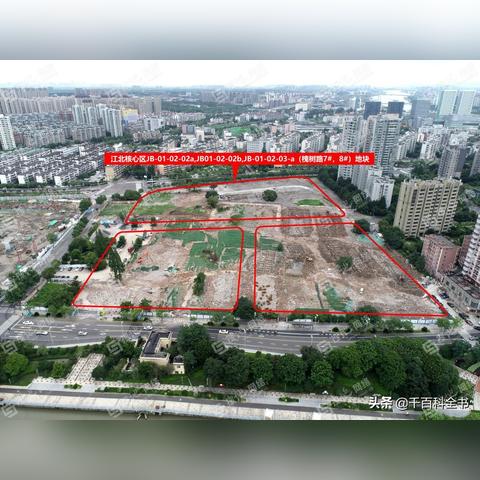 槐树宁波的相关长尾关键词有哪些