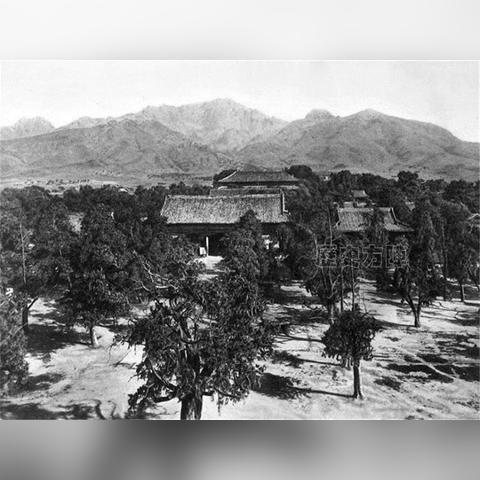 济南大学和曲阜师范大学哪个更好？