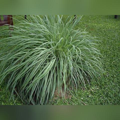 泰国为什么温度高