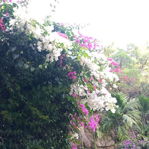 2025.12.29厦门今天空气质量指数怎么样