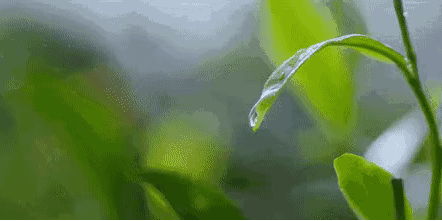 从a到z，常州人有26个爱上茶的理由！
