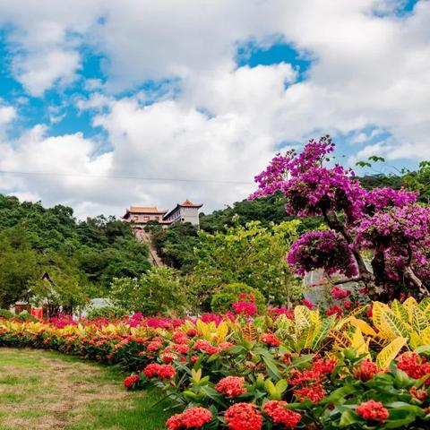 2025.12.20东莞今天空气质量指数怎么样