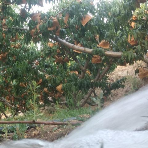 临沂市蒙阴干旱的长尾关键词有什么