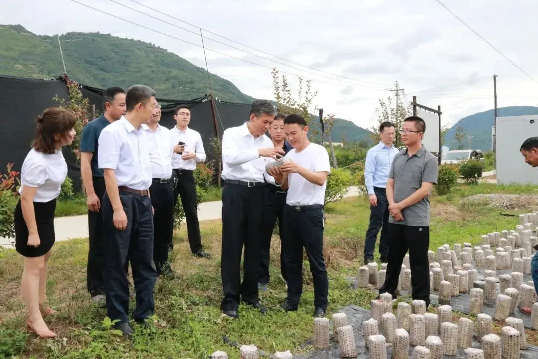 1688只有商家才能买吗 chatgpt3.5只有2021