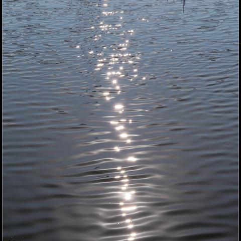 东莞市大朗二手音响的长尾关键词有什么