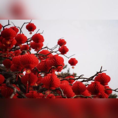 观音山在东莞市哪里