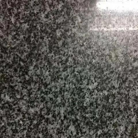 福建芝麻黑怎么样