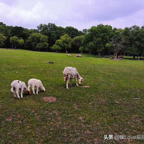 平山到哈尔滨的火车相关长尾关键词有哪些