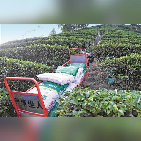 广东物流200公斤到广西要多少钱？