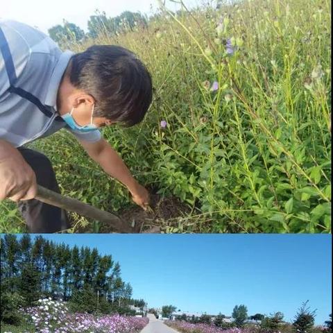 哈尔滨市有哪些区和街道