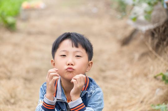 城里长大的中国孩子多去乡村吧！可以多积累素材，多些幸福体验