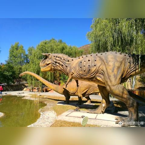 桂林市有哪些游乐园好玩