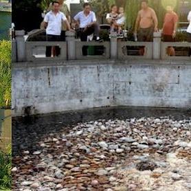 济南市名泉多少个小区啊