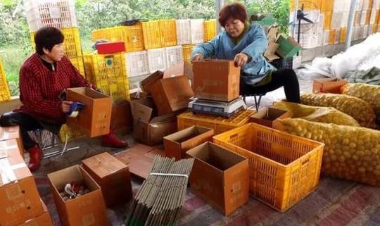 返乡创业：缺钱，缺项目，规模之殇，未来又该靠什么破局
