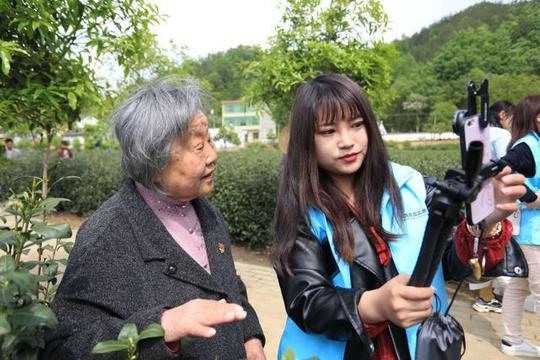 跟着陕茶代言人的脚步走进巍巍秦岭邂逅商洛茶