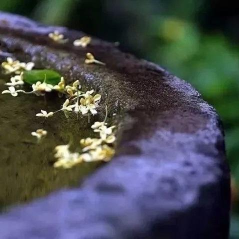 南宁市桂花山公园怎么样