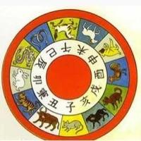 天干地支如何组合(怎么看天干地支五行属性)