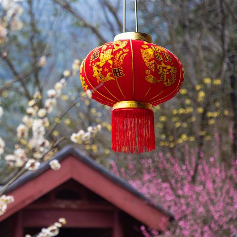 哈尔滨市哪里卖江南韵