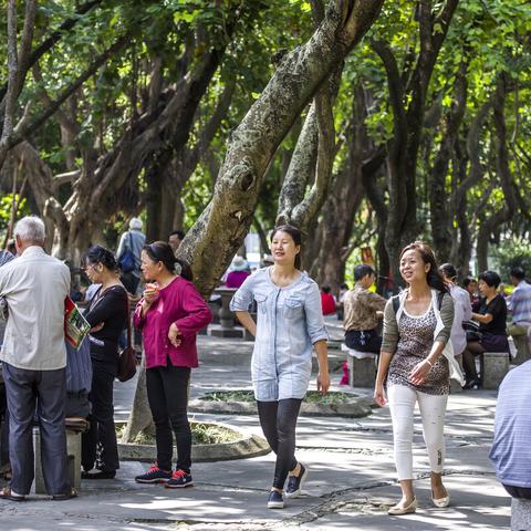 厦门一亩茶的相关长尾关键词有哪些