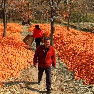 河北省保定市各县地名的长尾关键词有什么