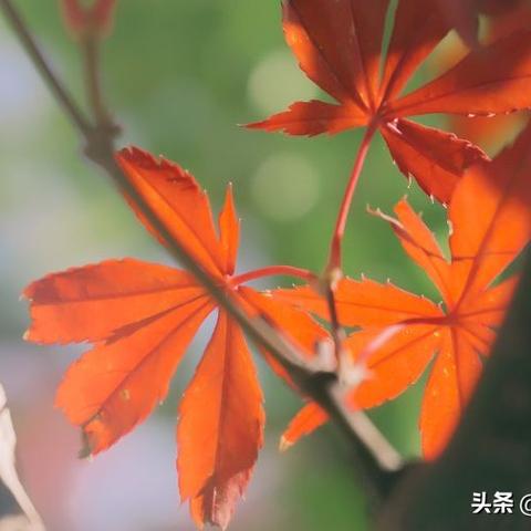 秋冬长沙拍照穿搭相关长尾关键词有哪些